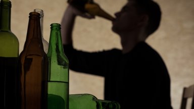 Научното изследване публикувано в сп Alcohol разглежда мозъчната кора и