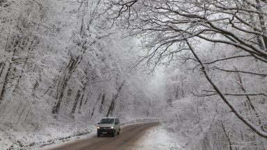 Бяла пелена покри "Петрохан" и Родопите, снегорини се качиха на Витоша (снимки/видео)