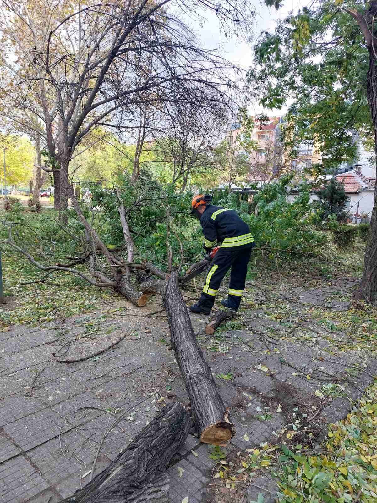 В Пловдив пожарникарите се отзоваваха най-вече на сигнали за паднали дървета и счупени клони