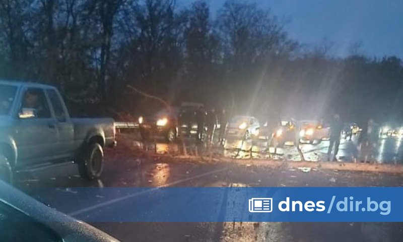 - 65-годишен мъж загина на място, след като дърво се