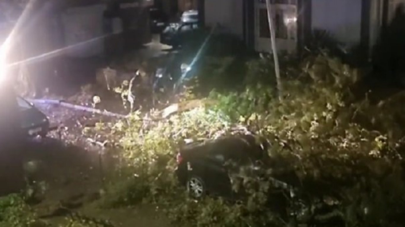 Втора жертва на урагана, дърво се стовари върху пешеходка във Варна (видео/снимки)
