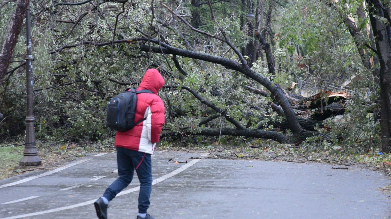 Варна обяви бедствено положение заради урагана, оранжев код за Източна България (снимки)