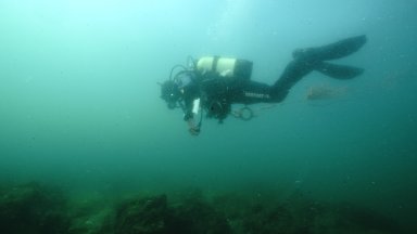 Учени откриха бълбукащи рифове в Черно море край Ропотамо и Аладжа банка
