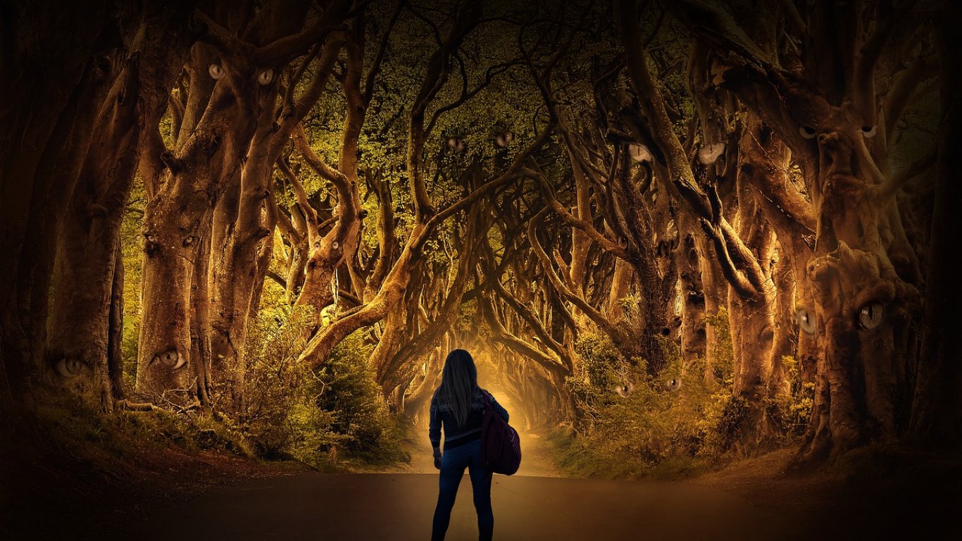 В Северна Ирландия започва изсичане на дървета от "Игра на тронове"