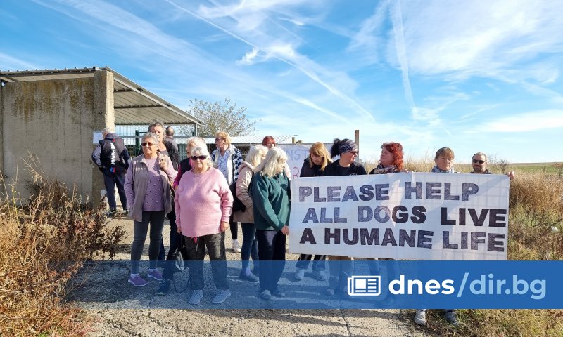 Според тях приютът, в който има над 50 кучета, е