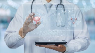 Източнки Phoenix Pharma Тъй като основно значение за образуване на