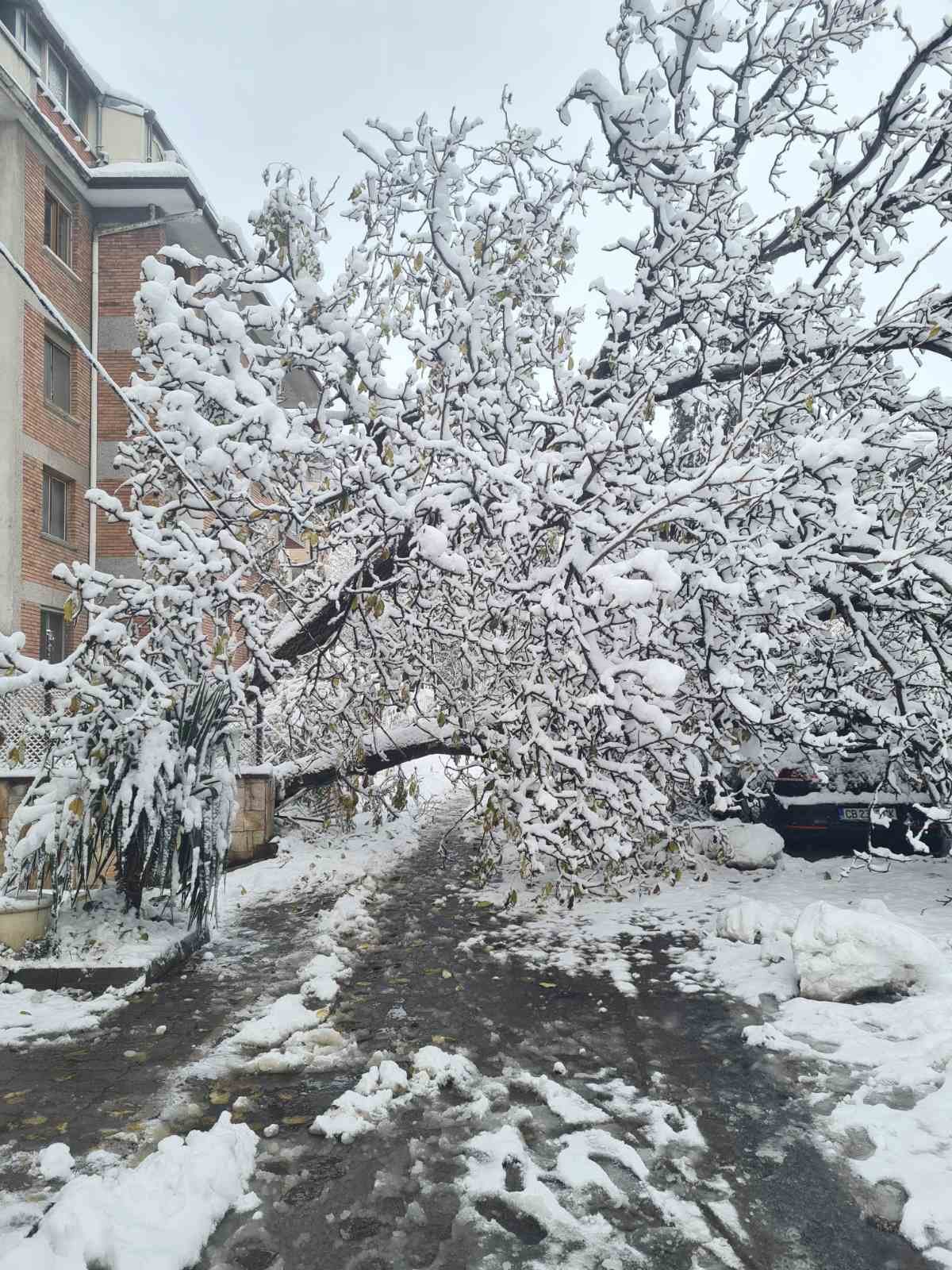 улица "Тодор Стоянов", кв. "Изток"