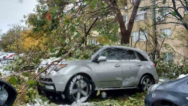 Над 100 автомобила пострадаха от паднали клони в Пловдив