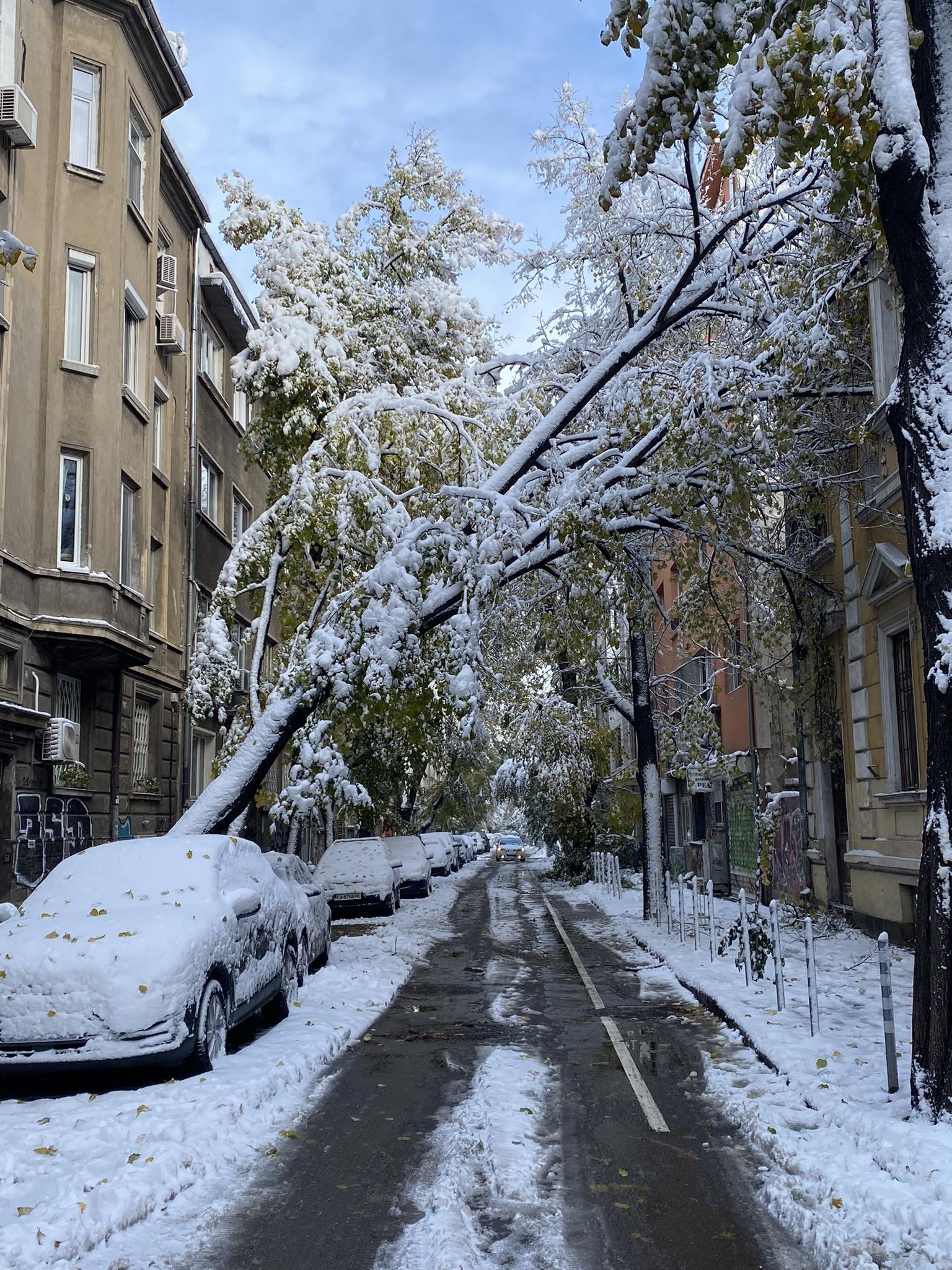 Центъра на София