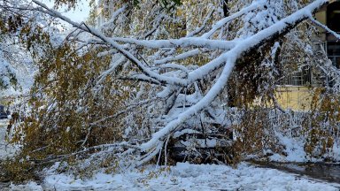 Държавата да се вземе в ръце Хората бедстват и са