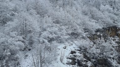 Причината скъсана контактна мрежа върху товарен влак Аварията е