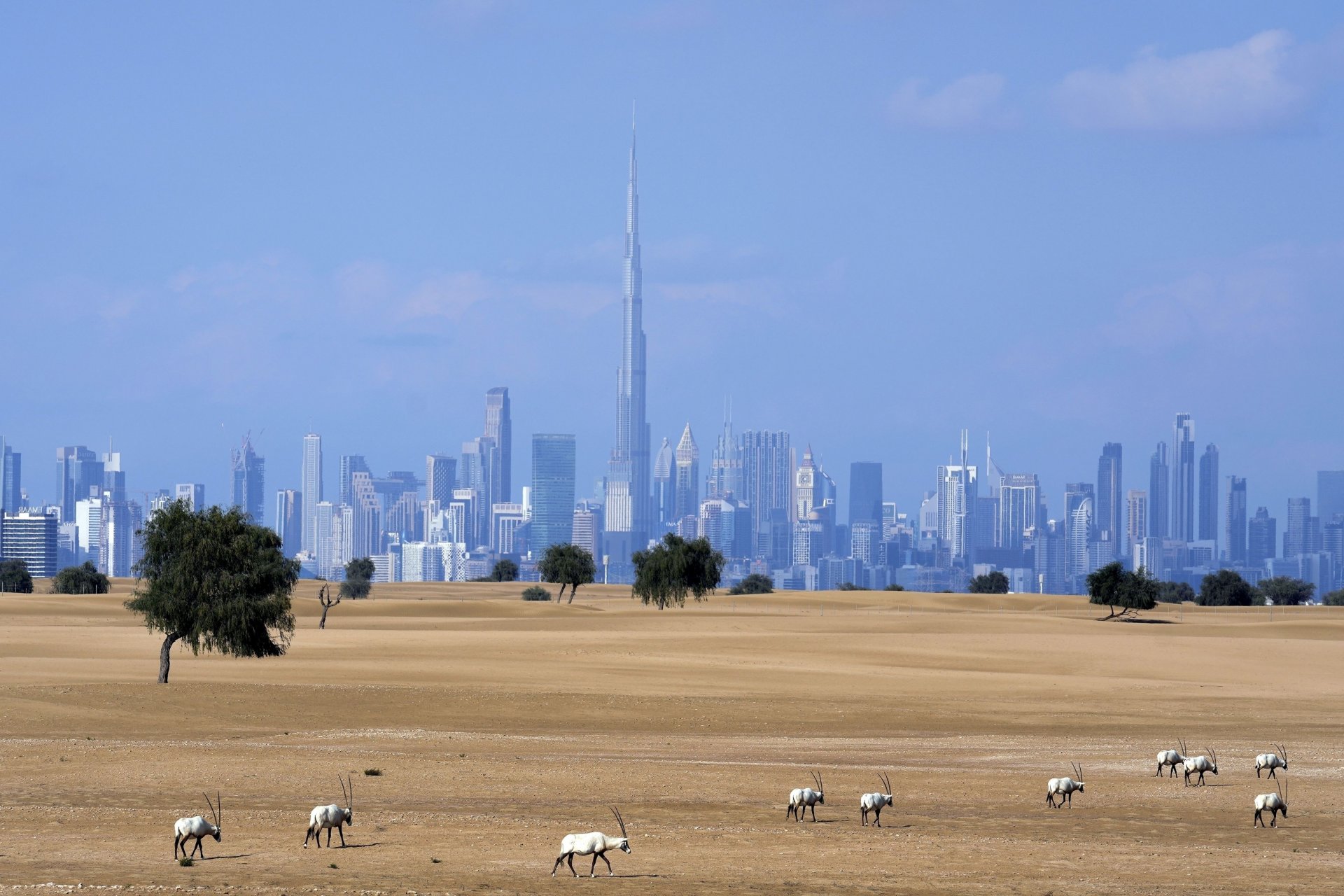 Изглед към Дубай, емирството, в което екипът на "Уанкойн" правил "инвестициите" си 