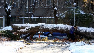 Терзиев за снежната блокада: Ситуацията в столицата е овладяна, напредваме по кварталите