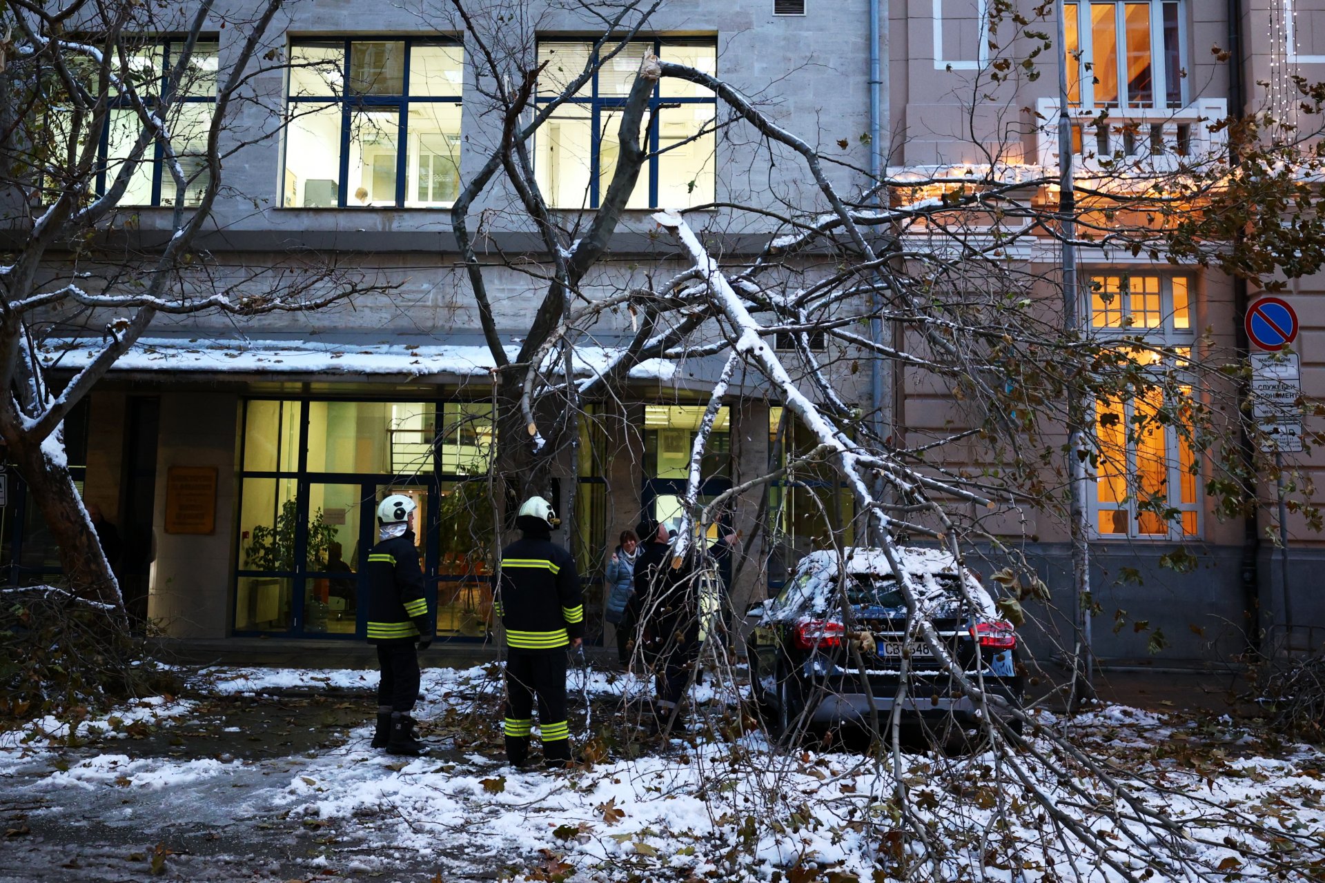 Пожарникари в пловдив се отзоваха по сигнал за паднало дърво