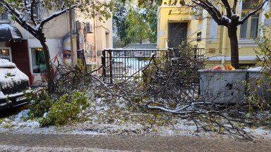 Днес за трети работен ден родители са го сигнализират за