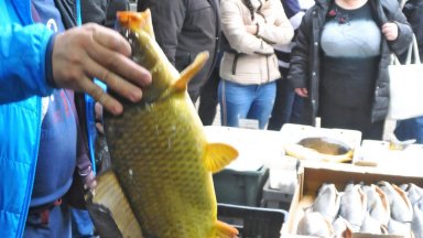 Първите инспекции в Бургас бяха направени на рибния пазар Краснодар