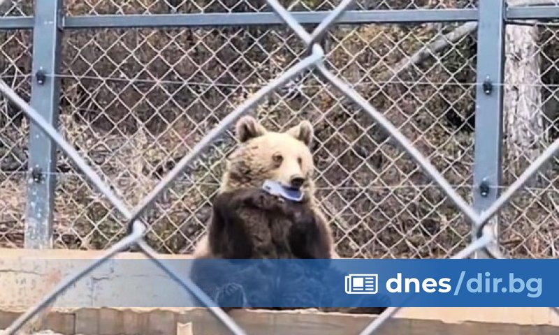 Всичко съм виждала, но не съм очаквала, че някой ще