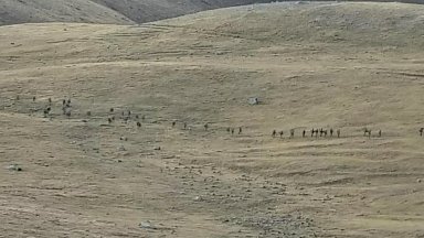 Арменски войник е бил убит днес от азербайджанската армия в