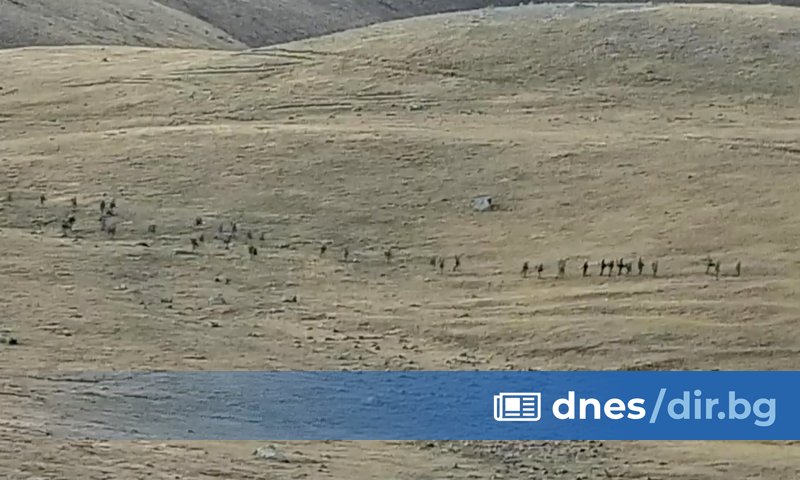 Арменски войник е бил убит днес от азербайджанската армия в