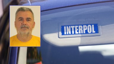 Въпросът който Палевски предлага за референдума е Дали сте за