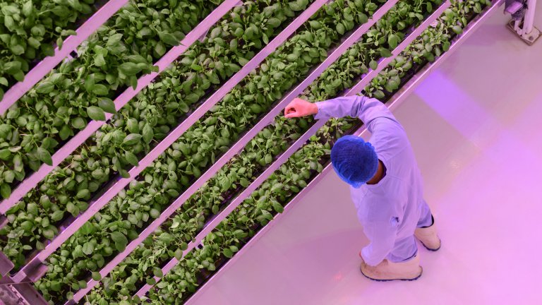 Китай разкрива "първата в света" вертикална 20-етажна ферма, контролирана от AI