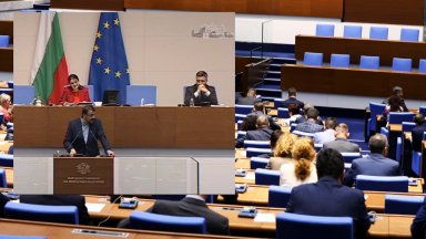 Повод за критиката на Ананиев беше неговото мнение че тя