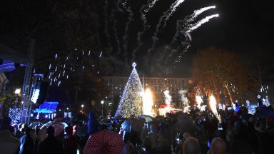 Снимка BulFoto Живото коледно дърво в центъра на Варна е