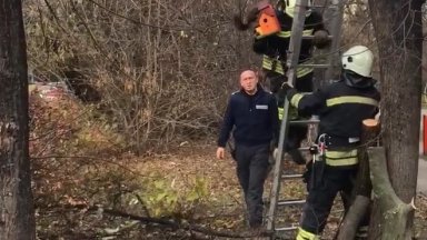 Пожарникари спасиха катеричка, заклещена в къща за птици в София (видео)