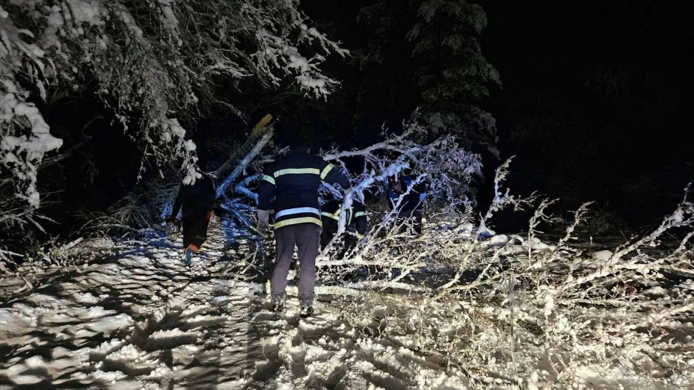 Паднали дървета и клони блокираха десетки пътни артерии, още има селища без ток (снимки)