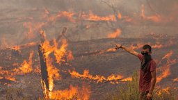 Прогнозират по-тежка климатична криза заради пожарите в Амазония