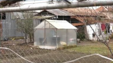 С детето вече работят психолози То е посещавано от социални