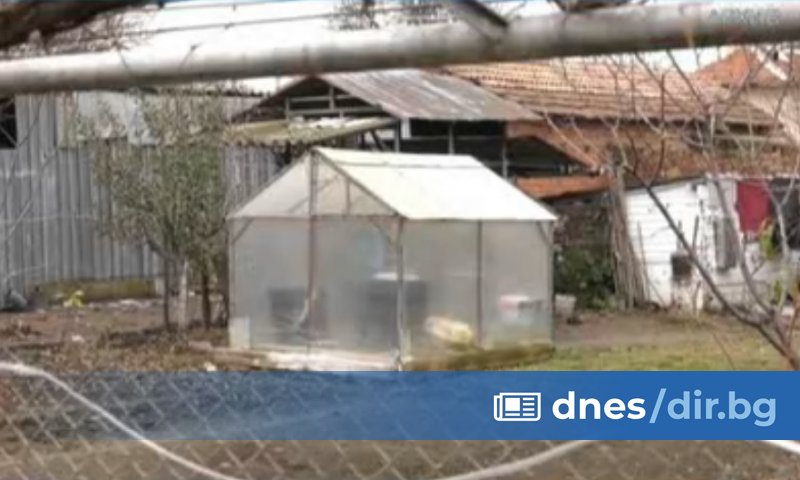 С детето вече работят психолози. То е посещавано от социални