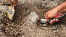 Откриха бутилка на 7000 години в Китай