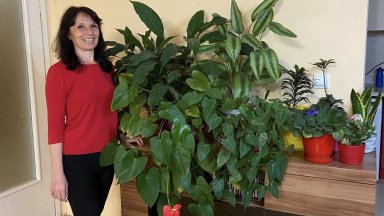 На Бъдни вечер и Коледа се събираме с децата и