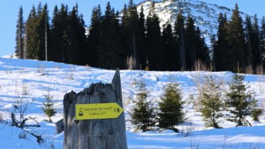 Витоша е под натиска на автомобилите: Между два и три милиона туристи годишно посещават планината