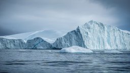 Гигантски вируси са открити в гренландския тъмен лед и червен сняг