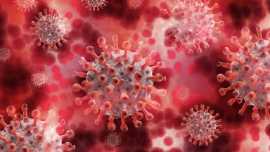 Направените тестове са 3712 Излекуваните са 74 Активните случаи на