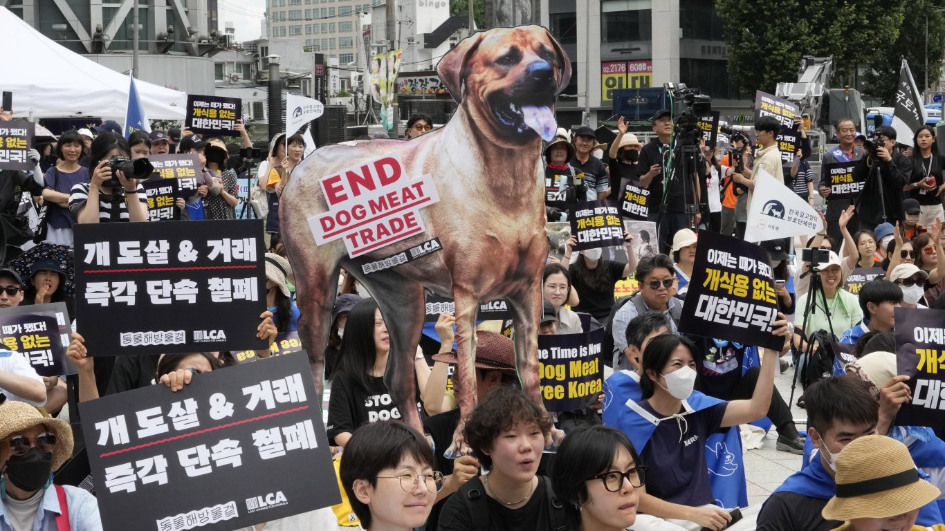 Южна Корея забрани консумацията и продажбата на кучешко месо