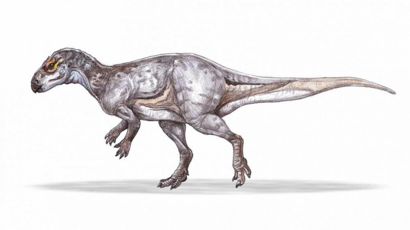 Вкаменелости на динозаври на 70 милиона години са открити в геопарк „Тара Хатегулуи“ в Румъния