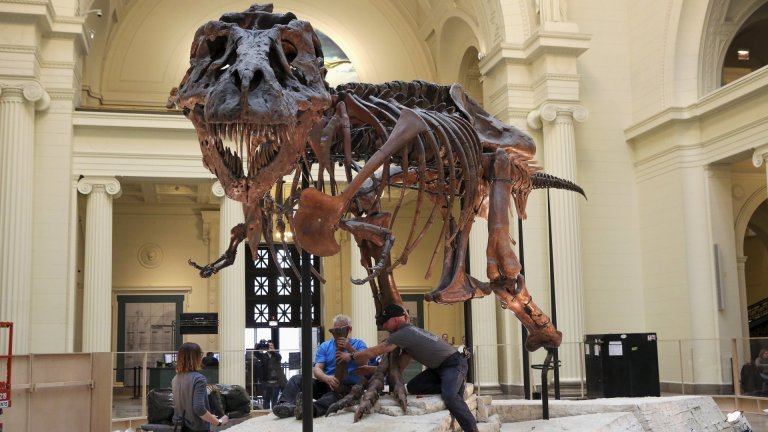 Учени откриха нов вид Тиранозавър