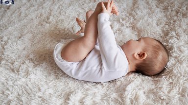 За разглеждания период са се родили 3 двойки близнаци От