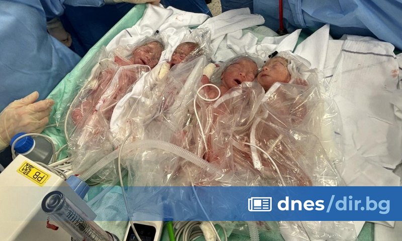 Снимка: Изключителна рядкост: Естествено заченати четиризнаци се родиха в Любляна