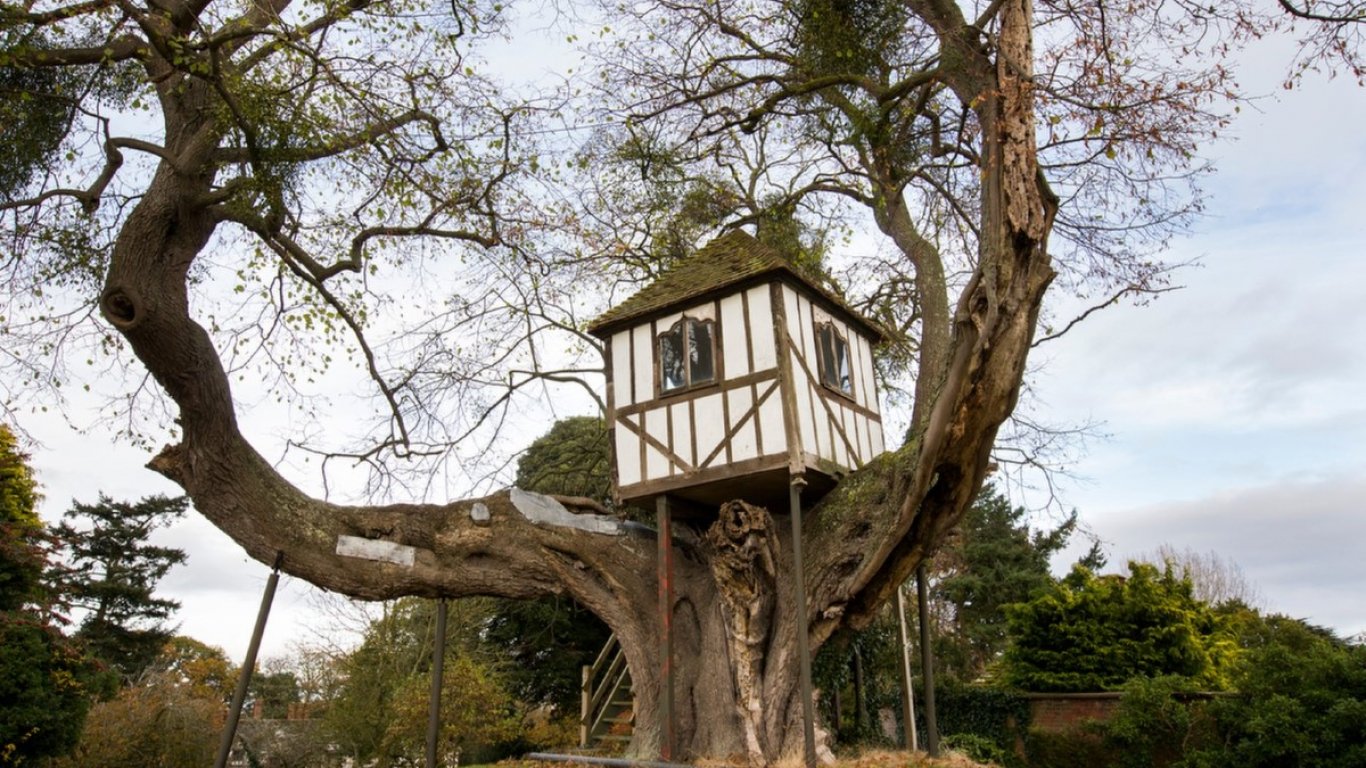 Най-старата къща на дърво в света e приютявала кралица (видео)