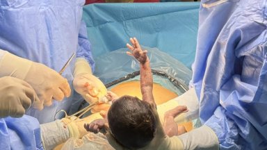 Бебенцата са се появили на бял свят на 17 януари