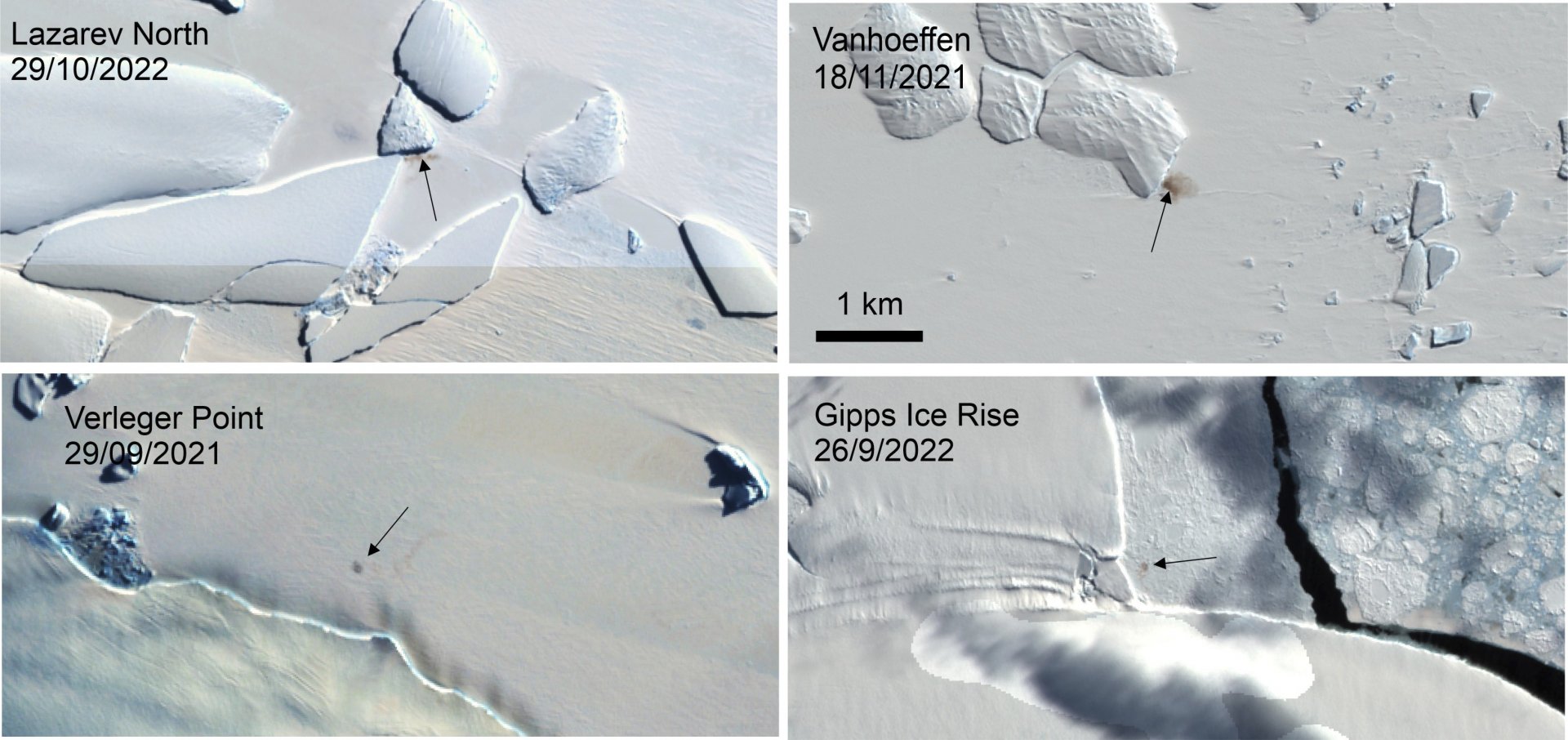 Сателитна снимка, предоставена от програмата "Коперник" на ЕС чрез Британската антарктическа служба през януари. Показва четири нови места за колонии на императорски пингвини в Антарктида.