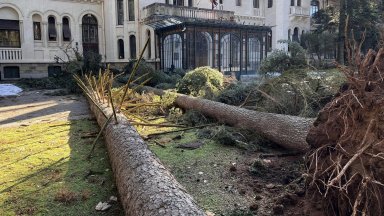 Снимка Ивайло Шалафов Fb Слава Богу че няма човешки жертви и