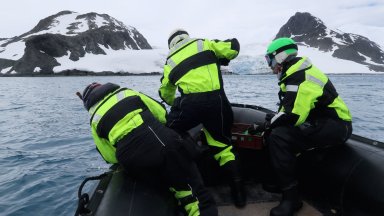 Снимка БТА Именно това че основната част от техните популации