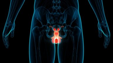 Смущенията в уринирането след 50 са индикативни за преглед на простатата
