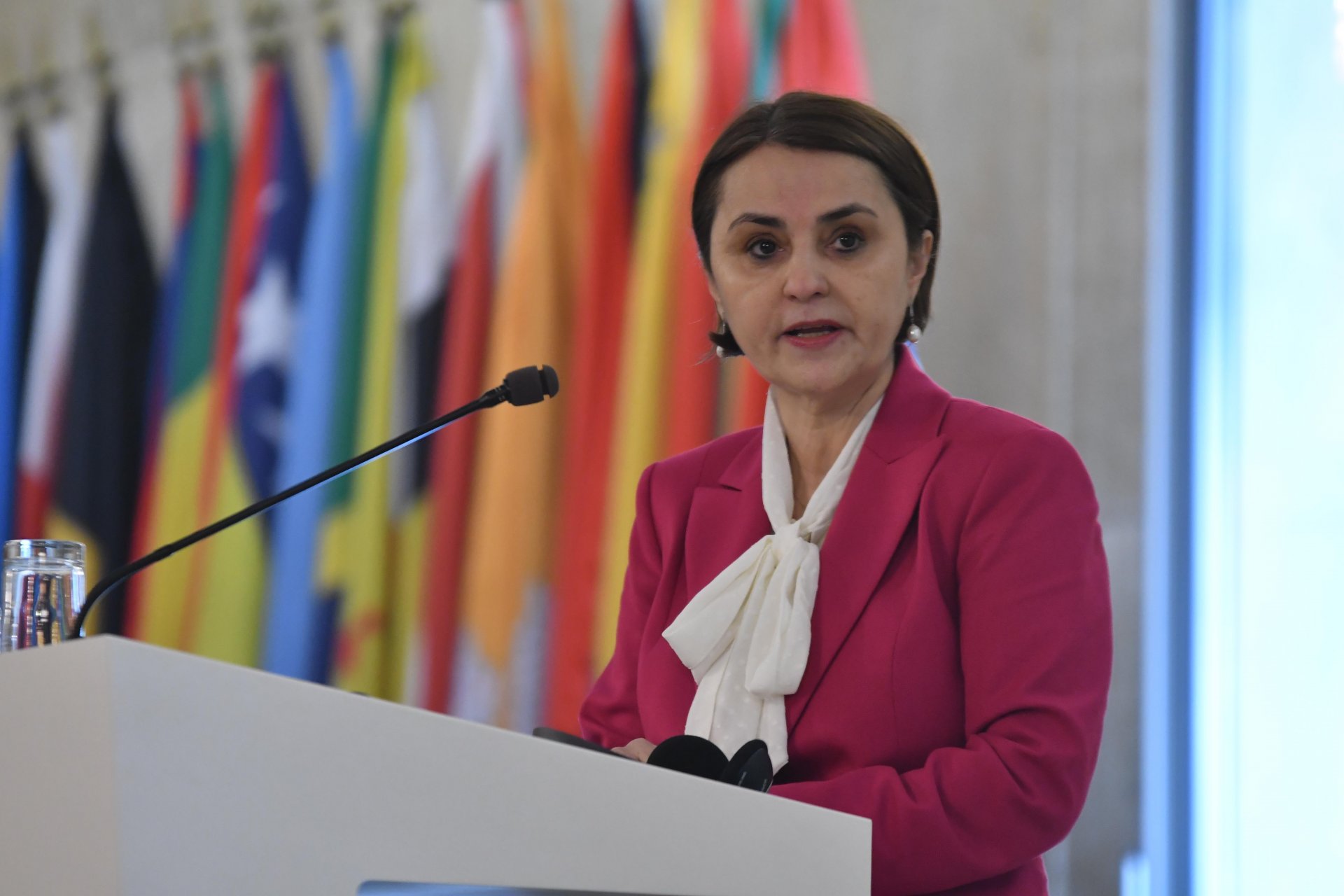 Министърът на външните работи на Румъния Луминица Одобеску