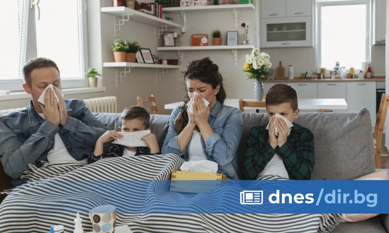 Снимка: Vedra International Кои са тези бактерии?
Lactobacillus rhamnosus SP1 е